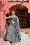 Matelic Grey Net Lehenga Set And Net Dupatta With Readymade Blouse