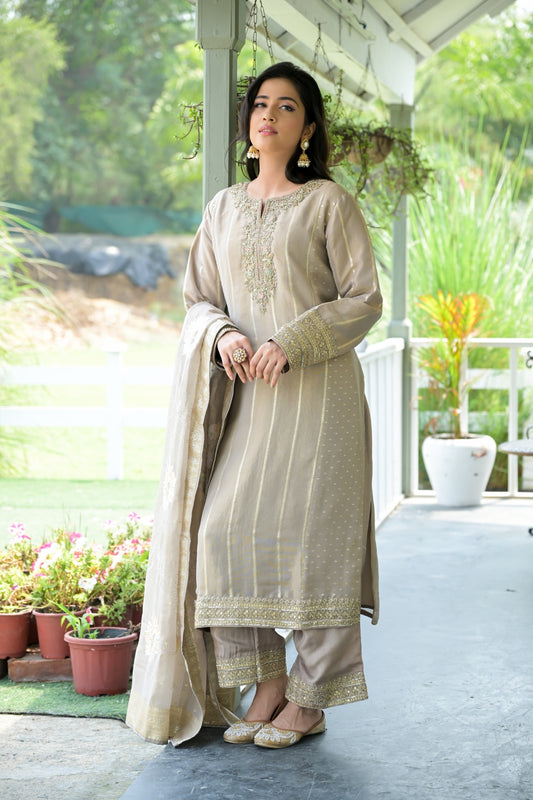 Chikoo Tissue Readymade Suit And Pant With Tissue Dupatta