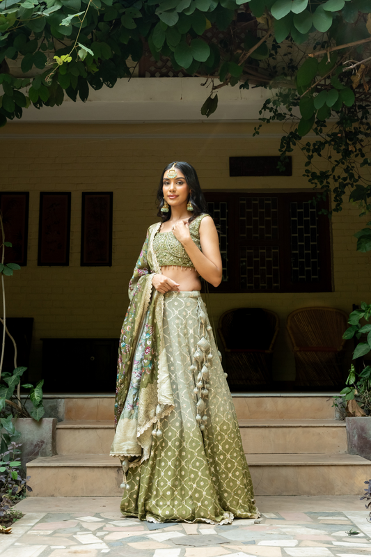 Pista Banarasi Woven Zari, Mirror, Sequence & Threadwork Georgette Lehenga Set With Readymade Blouse