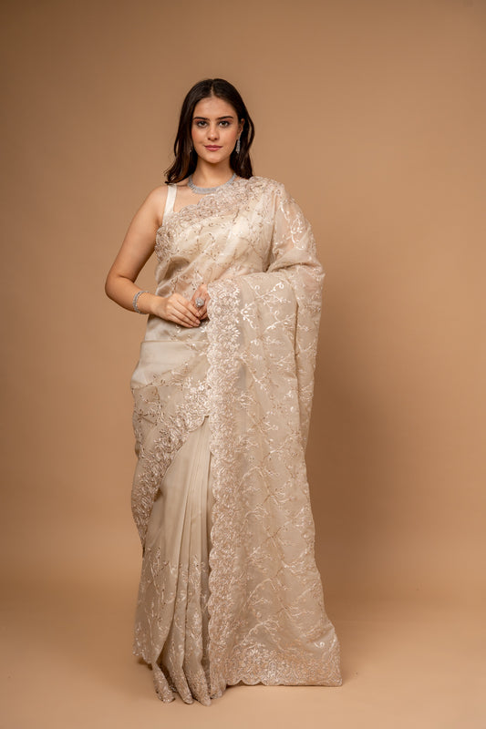 Timeless Beauty Tussar Organza Jaal Print Saree With Unstitched Blouse