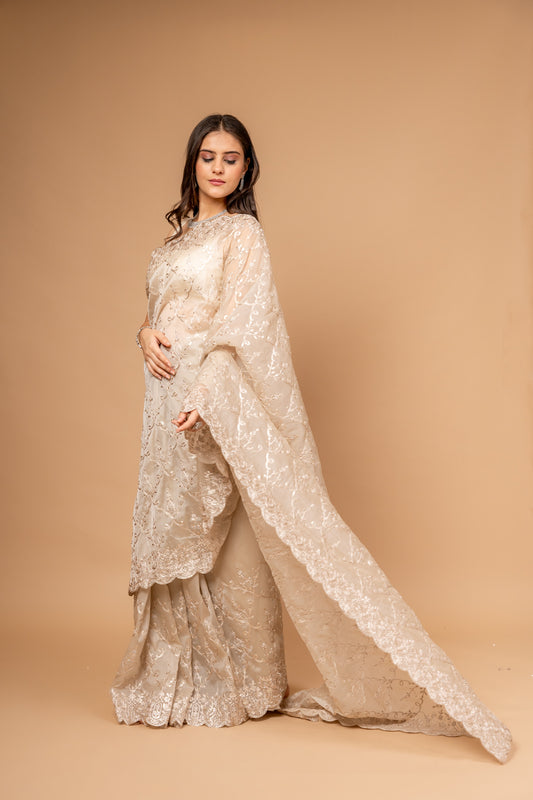 Timeless Beauty Tussar Organza Jaal Print Saree With Unstitched Blouse