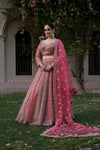 Coral Net Lehenga Set And Net Dupatta With Readymade Blouse