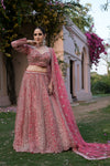 Coral Net Lehenga Set And Net Dupatta With Readymade Blouse