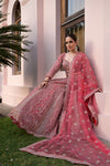 Coral Net Lehenga Set And Net Dupatta With Readymade Blouse