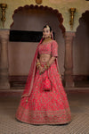 Rani Fine Raw Silk lehenga Set And Net Dupatta With Readymade Blouse