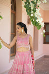 Rani Georgette Lehenga Set And Net Dupatta With Readymade Blouse