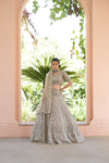 Chikoo Net Lehenga Set And Net Dupatta With Readymade Blouse