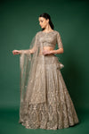 Chikoo Net Lehenga Set And Net Dupatta With Readymade Blouse