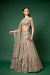 Chikoo Net Lehenga Set And Net Dupatta With Readymade Blouse
