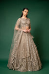 Chikoo Net Lehenga Set And Net Dupatta With Readymade Blouse