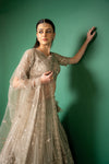 Chikoo Net Lehenga Set And Net Dupatta With Readymade Blouse