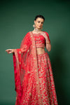 Rani Raw Silk Lehenga Set And Net Dupatta With Readymade Blouse