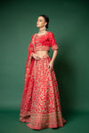 Rani Raw Silk Lehenga Set And Net Dupatta With Readymade Blouse