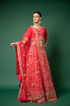Rani Raw Silk Lehenga Set And Net Dupatta With Readymade Blouse