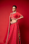 Coral Raw Silk Lehenga Set And Net Dupatta With Readymade Blouse