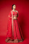 Coral Raw Silk Lehenga Set And Net Dupatta With Readymade Blouse