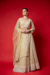 Pista Threadwork, Embroidery, Mirror, Bead Work, Sequence Net Lehenga Set With Readymade Blouse