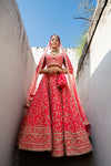 Rani Fine Raw Silk lehenga Set And Net Dupatta With Readymade Blouse