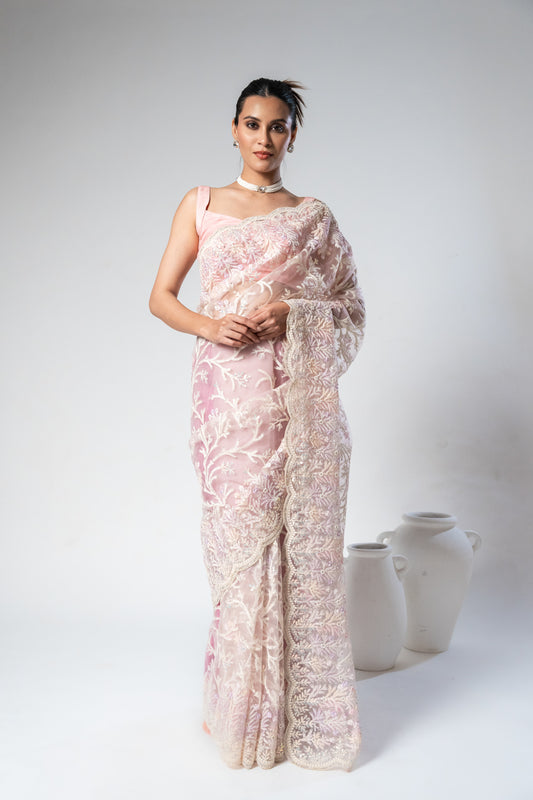 Net Embroidered Saree