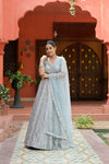 Sky Blue Net Lehenga Set And Net Dupatta With Readymade Blouse