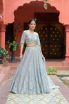 Sky Blue Net Lehenga Set And Net Dupatta With Readymade Blouse