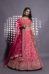 Coral Gharchola Pattern, Woven Zari, Neem, Threadwork Tissue Lehenga Set With Readymade Blouse