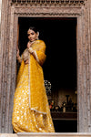 Mango Gold Georgette Lehenga Set With Readymade Blouse