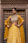 Mango Gold Georgette Lehenga Set With Readymade Blouse