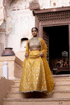 Mango Gold Georgette Lehenga Set With Readymade Blouse