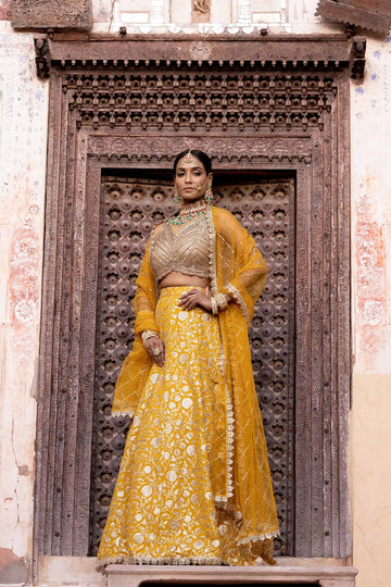 Mango Gold Georgette Lehenga Set With Readymade Blouse