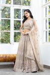 Chikoo Net Lehenga Set With Readymade Blouse