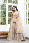 Chikoo Net Lehenga Set With Readymade Blouse