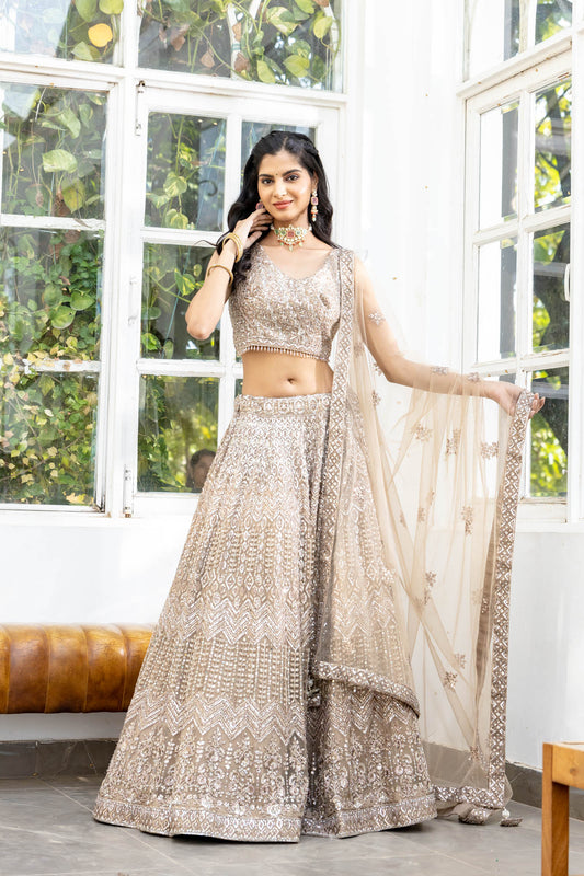 Chikoo Net Lehenga Set With Readymade Blouse