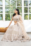 Chikoo Net Lehenga Set With Readymade Blouse