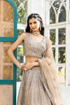 Chikoo Net Lehenga Set With Readymade Blouse