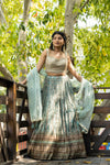 Dolna Lehenga Set With Readymade Blouse (Ft:- Hrishitaa Chopra)