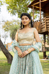 Dolna Lehenga Set With Readymade Blouse (Ft:- Hrishitaa Chopra)