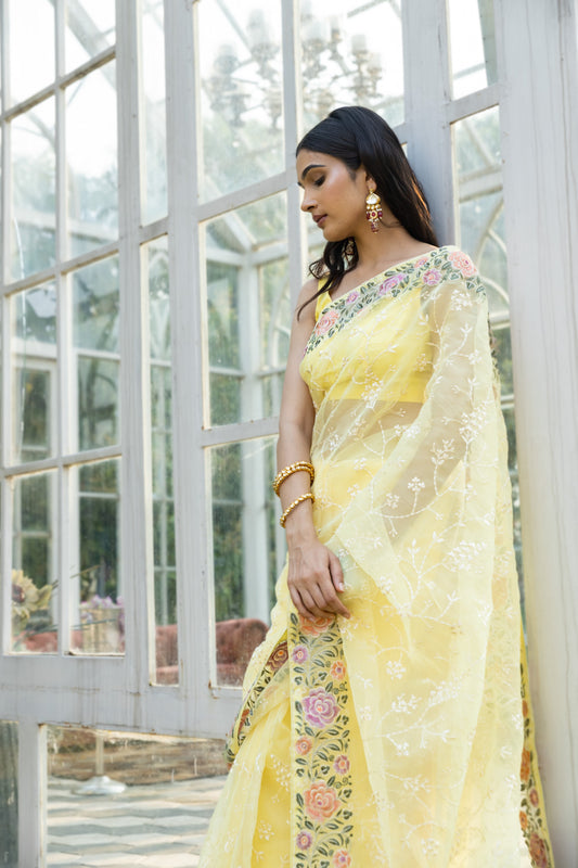 Organza Embroidered Saree With Jaal Work (All Over) (Ft:-Mallika singhania)