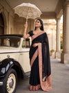 Black Georgette Embroidered Saree - Mood Shot