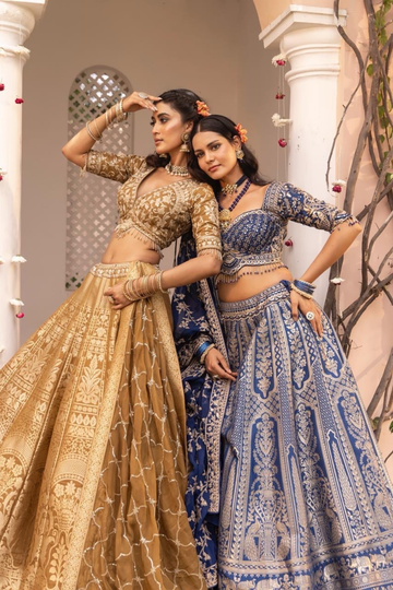 Timeless Beauty Tussar Lehenga Set With Tissue Dupatta & Readymade Blouse