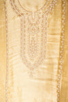 UN8816-RTC-540752 Tussar Top fabric swatch