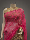 Rani Grey Brasso Net Embroidered Saree With Unstitched Blouse