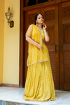 Mango Gold Sequence, Cutdana,Threadwork, Embroidery Georgette Lehenga Set With Readymade Blouse