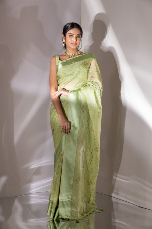 Pista Organza Tissue Swarovski Saree With Unstitched Blouse