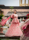 Coral Short Top Net Lehenga Set With Net Dupatta