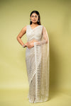 Chikoo Net Embroidered Saree With Readymade Blouse