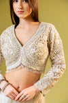 Tussar Net Embroidered Saree With Readymade Blouse