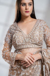 Tussar Net Embroidered Saree With Readymade Blouse