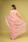 Panna Glow Different In Gajari Organza Jaal Print Saree With Unstitched Blouse