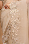 Timeless Beauty Tussar Organza Saree And Woven Zari Border With Unstitched Blouse